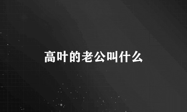 高叶的老公叫什么