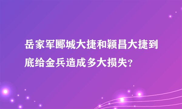 岳家军郾城大捷和颖昌大捷到底给金兵造成多大损失？