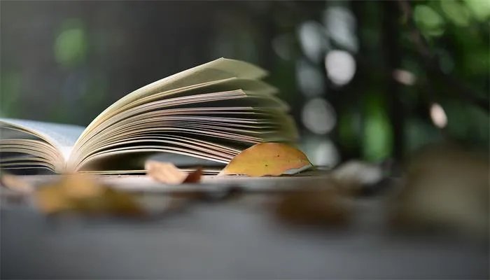 秋晚的江上描绘了一幅怎样的画面