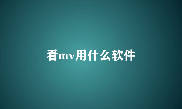 看mv用什么软件