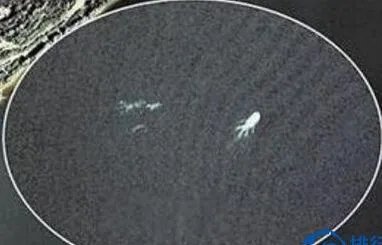 世界十大水怪排名都有哪些 最可怕的水怪真实图片