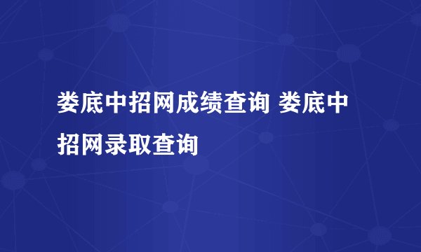 娄底中招网成绩查询 娄底中招网录取查询