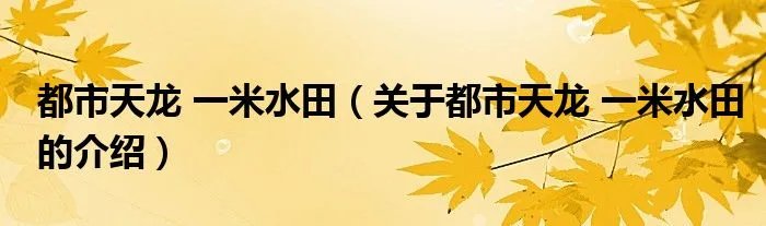 都市天龙 一米水田（关于都市天龙 一米水田的介绍）