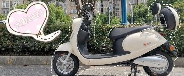 十大质量差电动车名单 质量差的电动车排名前十名