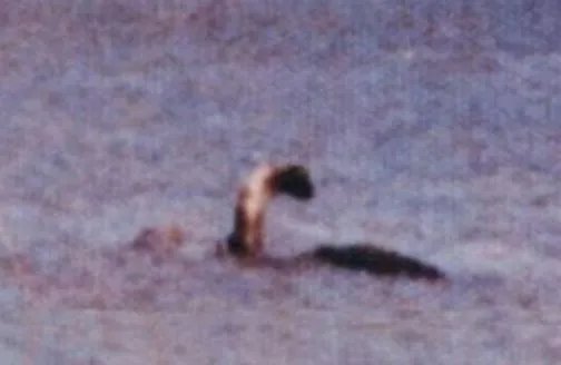 世界十大水怪排名都有哪些 最可怕的水怪真实图片