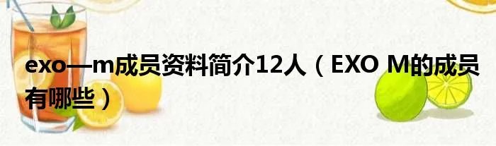 exo—m成员资料简介12人（EXO M的成员有哪些）