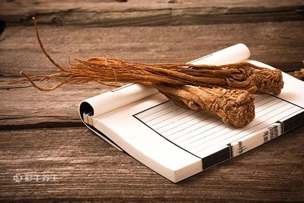 大寒节气吃什么好