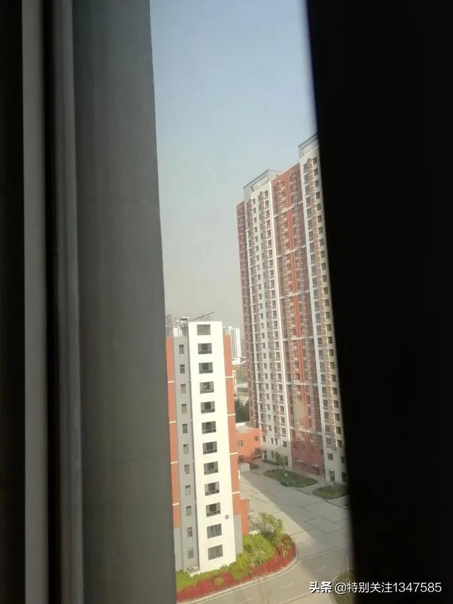 小珠山大火会影响动物园吗？经过一晚上的灭火什么进展了？