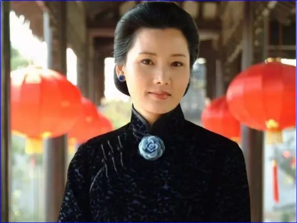 何赛飞主演电视剧大全