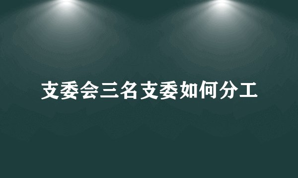 支委会三名支委如何分工