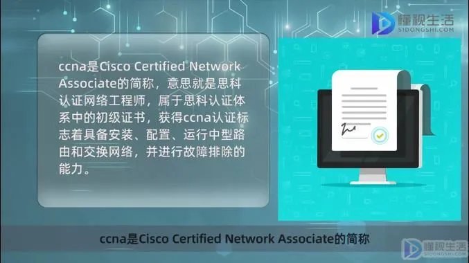 ccna是什么