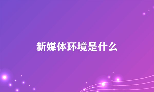新媒体环境是什么
