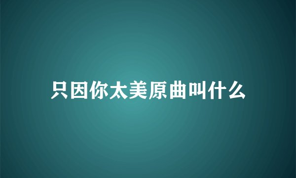 只因你太美原曲叫什么