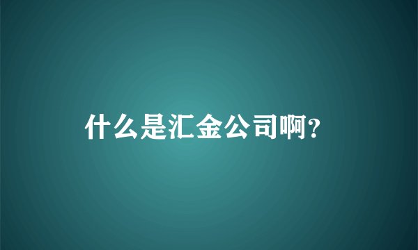 什么是汇金公司啊？