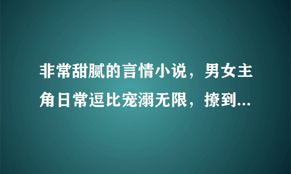 非常甜腻的言情小说，男女主角日常逗比宠溺无限，撩到你腿软！