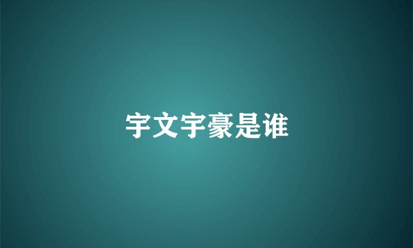 宇文宇豪是谁