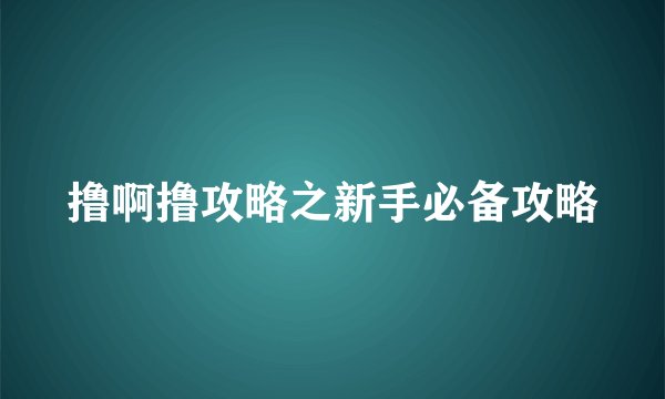 撸啊撸攻略之新手必备攻略