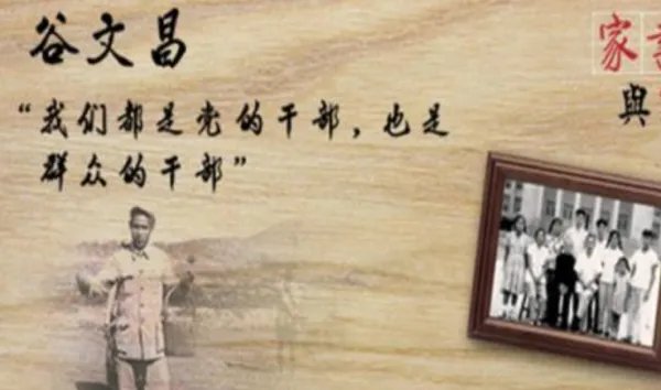 2020电视剧上映时间表