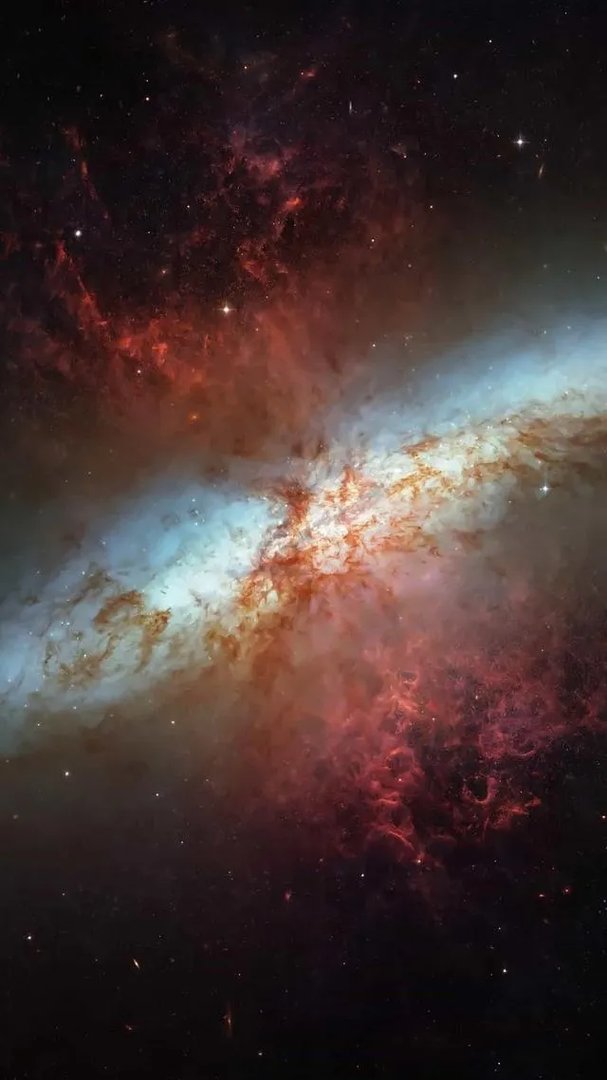 青岛的张律师不幸遇害，让人震惊、痛惜，作为家长留给我们的是？