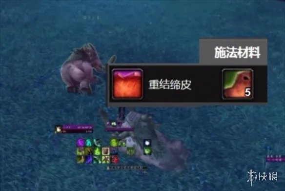 《魔兽世界》重结缔皮ID介绍