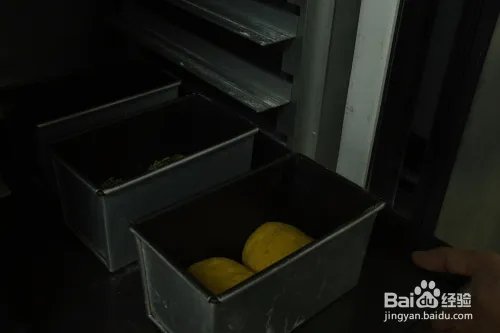 蛋糕培训：焙蕾甘甜的南瓜子全麦面包