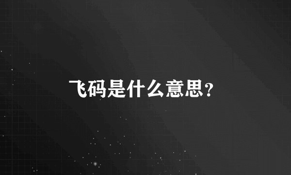 飞码是什么意思？