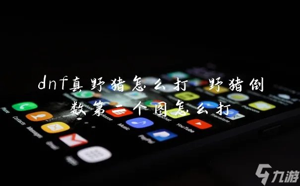 dnf真野猪怎么打 野猪倒数第二个图怎么打