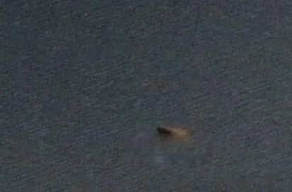 世界十大水怪排名都有哪些 最可怕的水怪真实图片