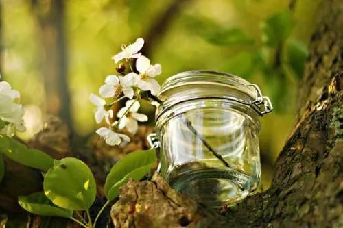 皇叔宠如命小说苏映雪楚奕寒最新章节阅读