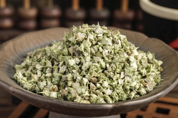 白药子的副作用