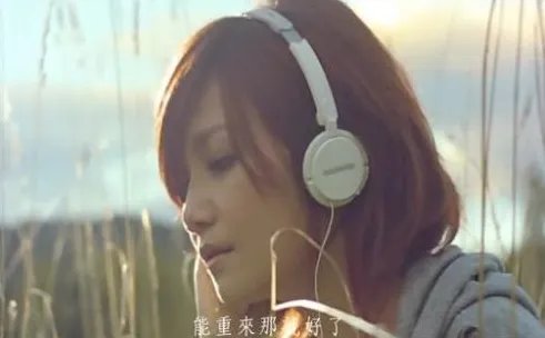 会呼吸的痛的歌词