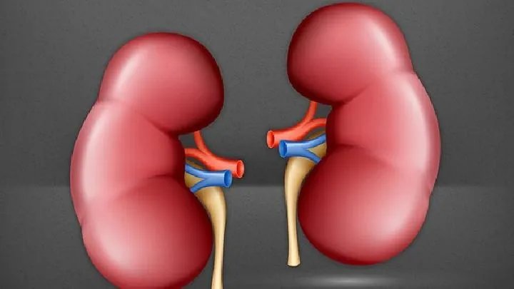 肾病综合征能治愈吗