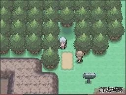 口袋妖怪白金图文攻略