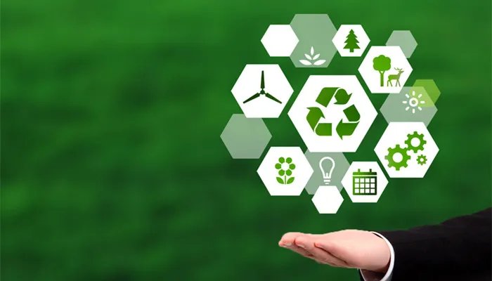 什么是低碳经济 低碳经济的特征是