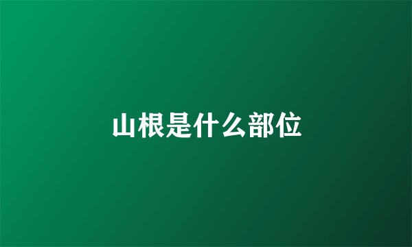 山根是什么部位
