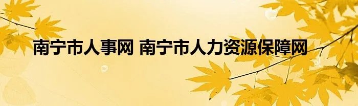 南宁市人事网 南宁市人力资源保障网