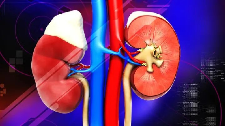 肾病综合征能治愈吗