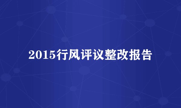 2015行风评议整改报告