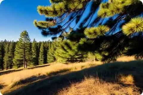 赛莱拉化妆品怎么样