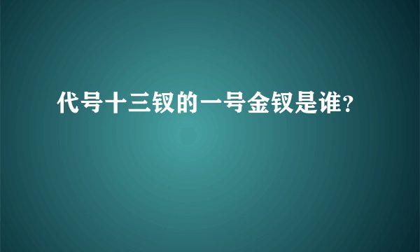 代号十三钗的一号金钗是谁？