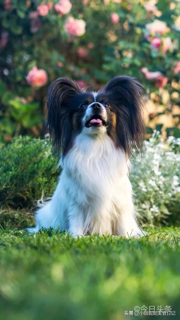 情感口述我和公公上床了