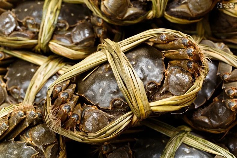 央视揭蟹卡套路 这样的螃蟹你还会选择买吗？