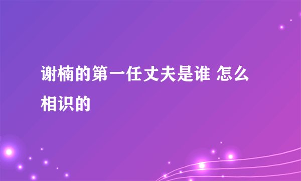 谢楠的第一任丈夫是谁 怎么相识的