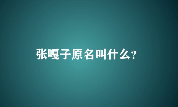 张嘎子原名叫什么？
