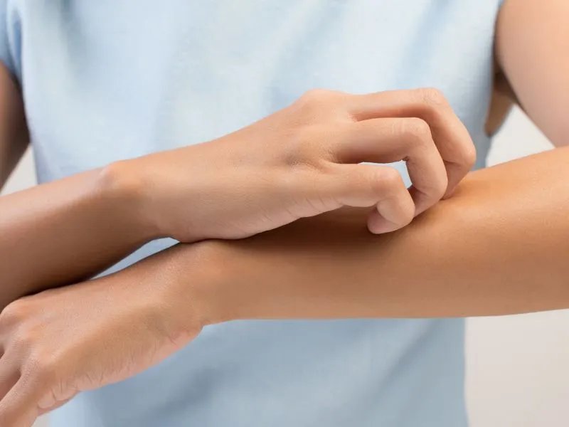 蚊子血型会辨认么