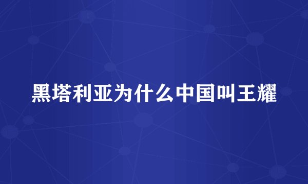 黑塔利亚为什么中国叫王耀
