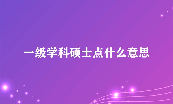 一级学科硕士点什么意思