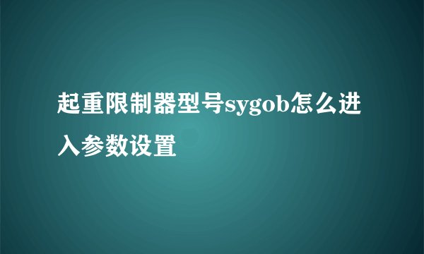 起重限制器型号sygob怎么进入参数设置