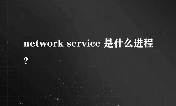network service 是什么进程?