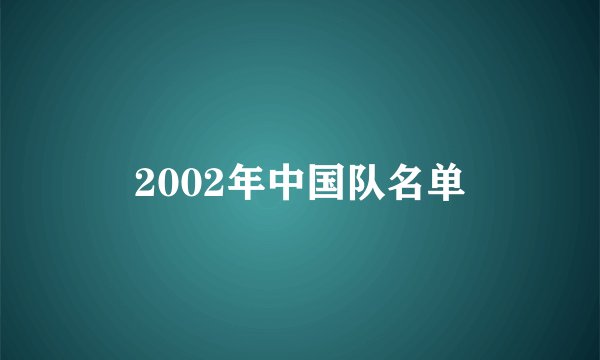 2002年中国队名单